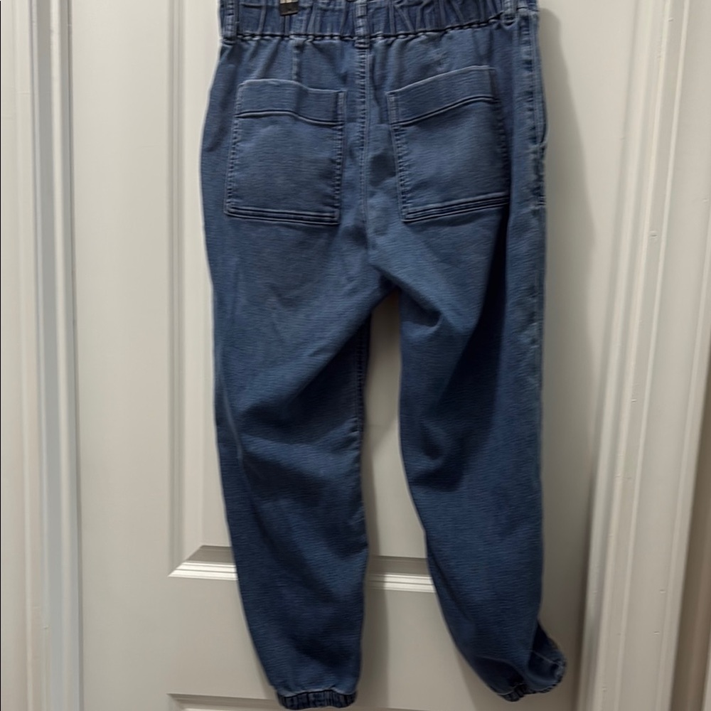J. Crew Medium Blue Denim Jogger Pants - Picture 4 of 7